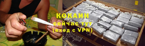 молекула духа Карпинск