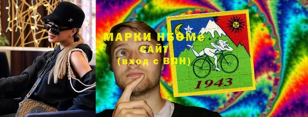 крисы Козельск