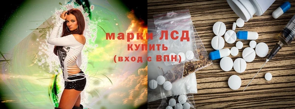крисы Козельск