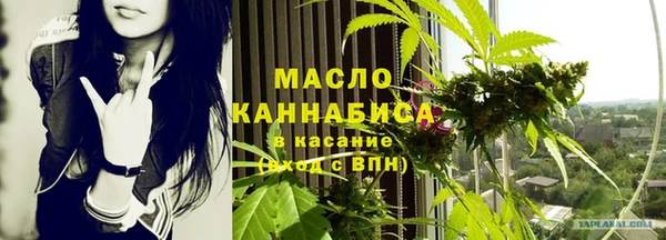 крисы Козельск
