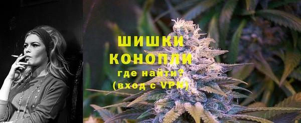 молекула духа Карпинск