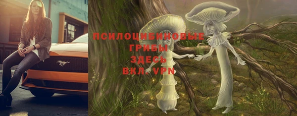 молекула духа Карпинск