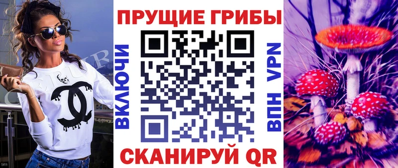 Купить закладки  Сосновоборск  Псилоцибиновые грибы MAGIC MUSHROOMS 